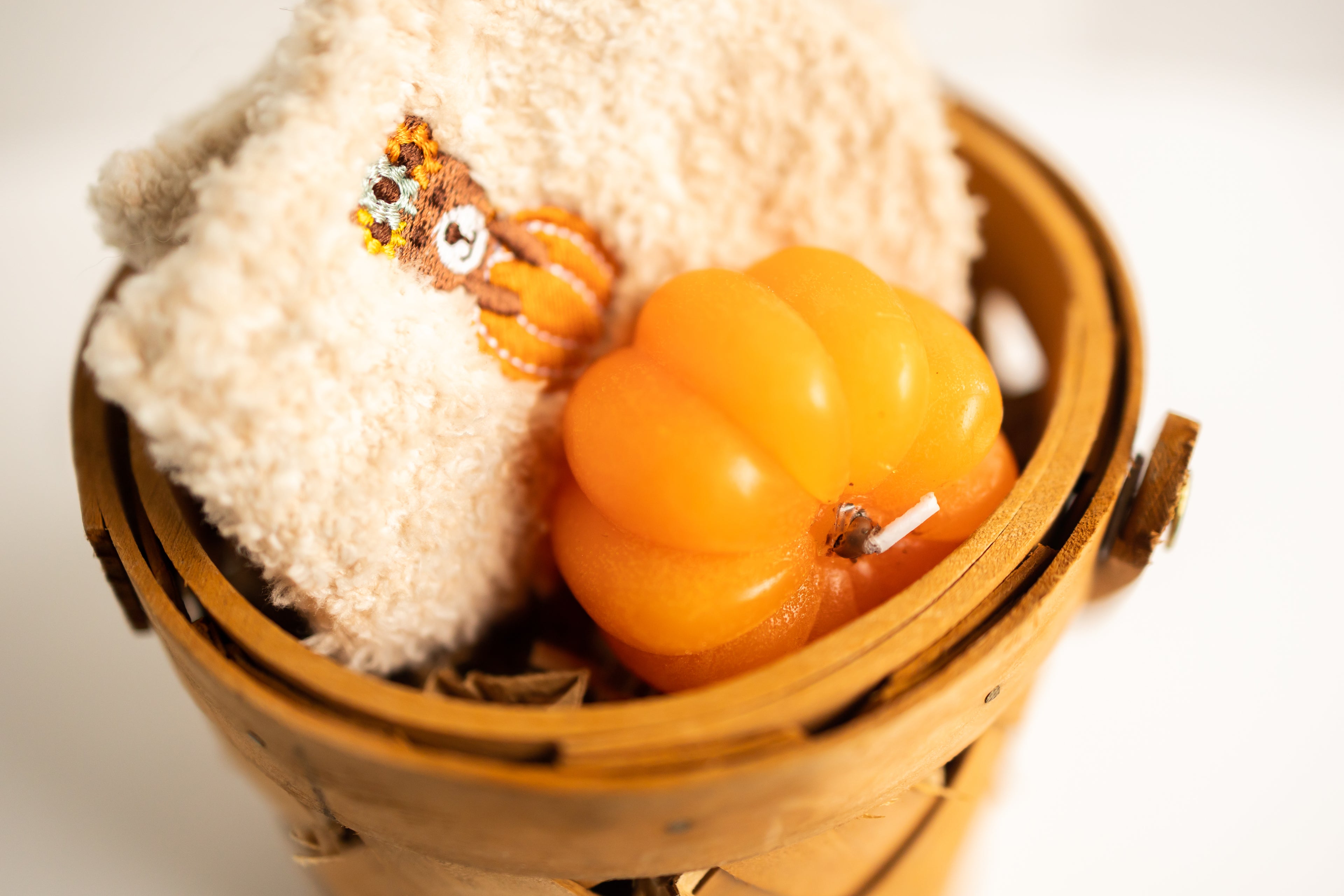 Pumpkin & Patch Gift Set