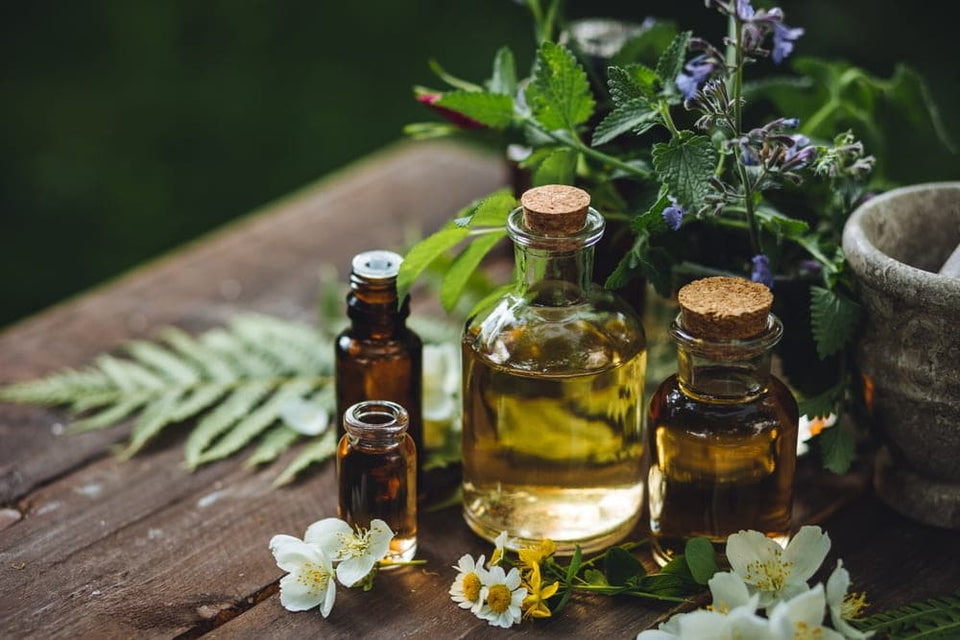 Ancients secrets for modern radiance: Is Beef Tallow Actually Good for Your Skin?