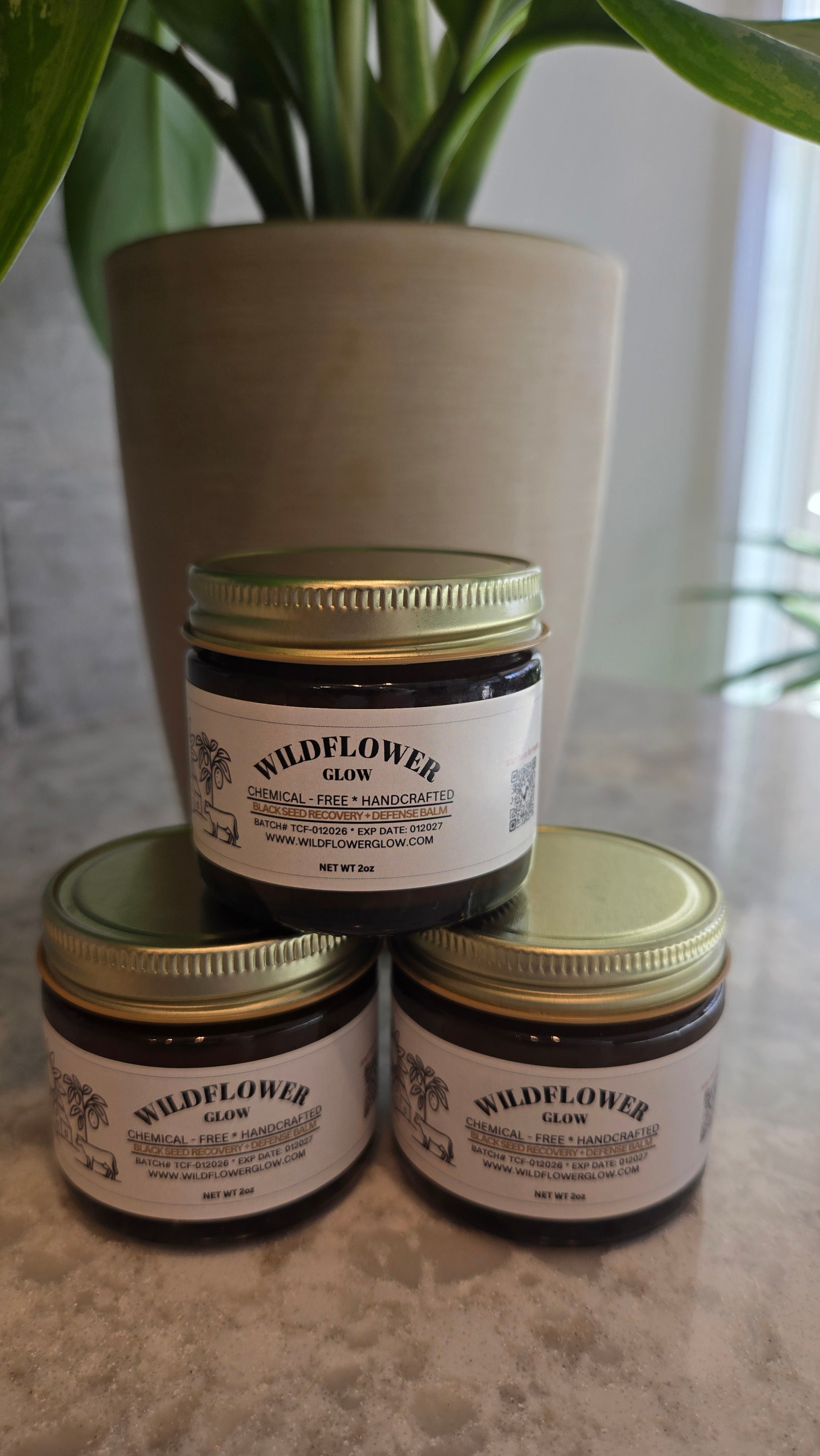 Black Seed Recovery + Defense Balm