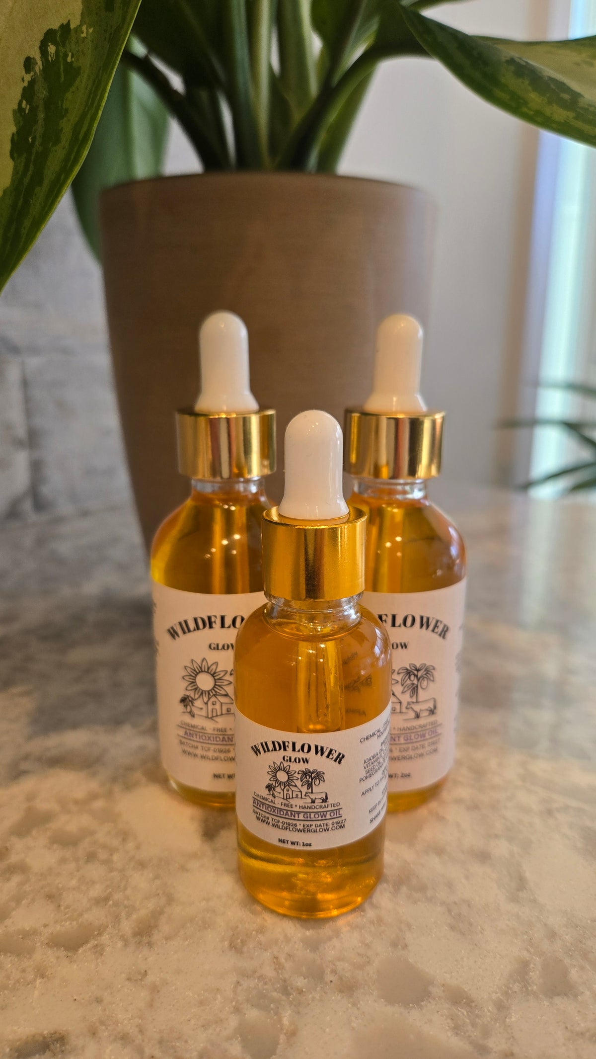 Antioxidant Glow Oil