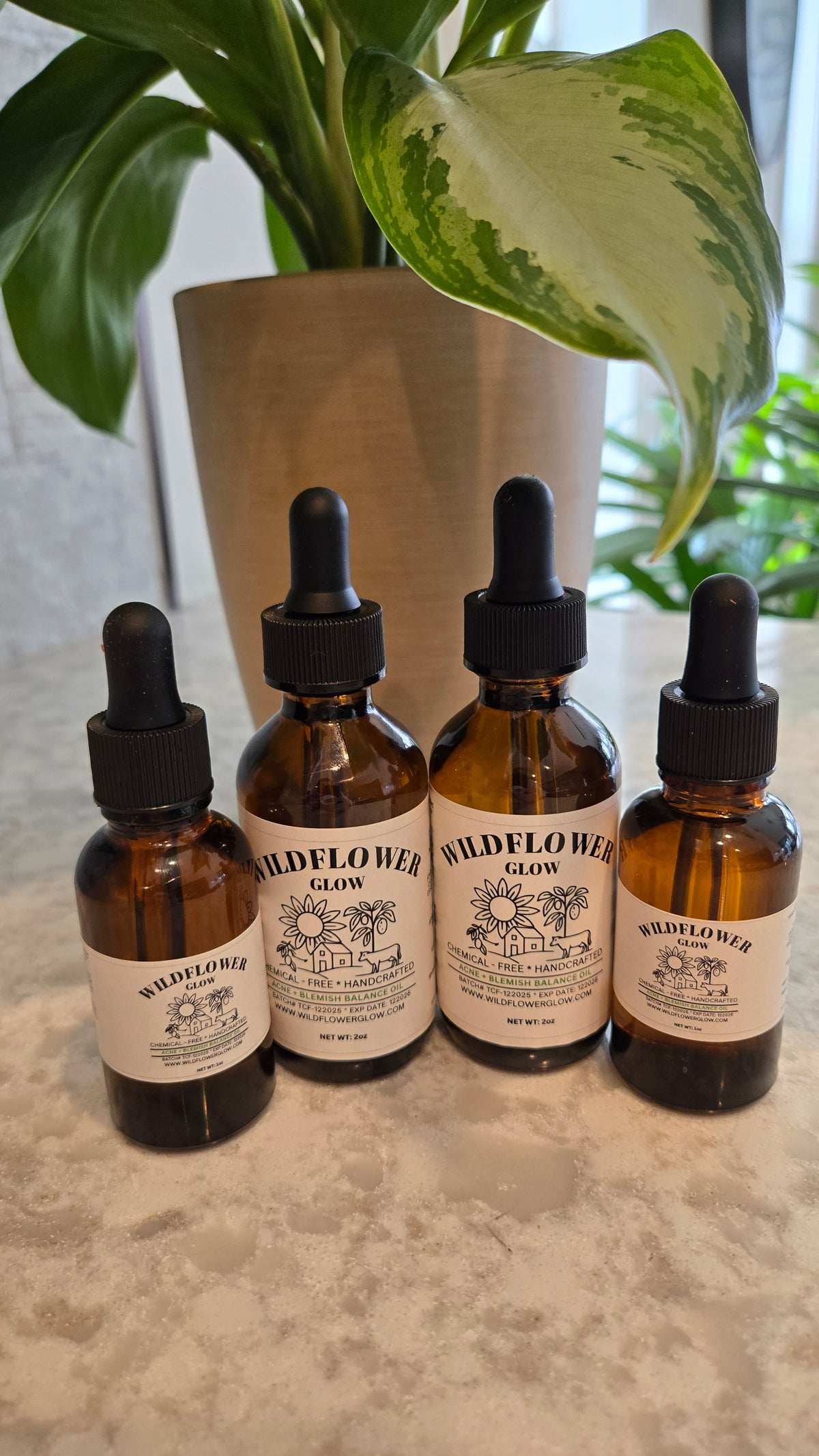 Acne + Blemish Balance Oil