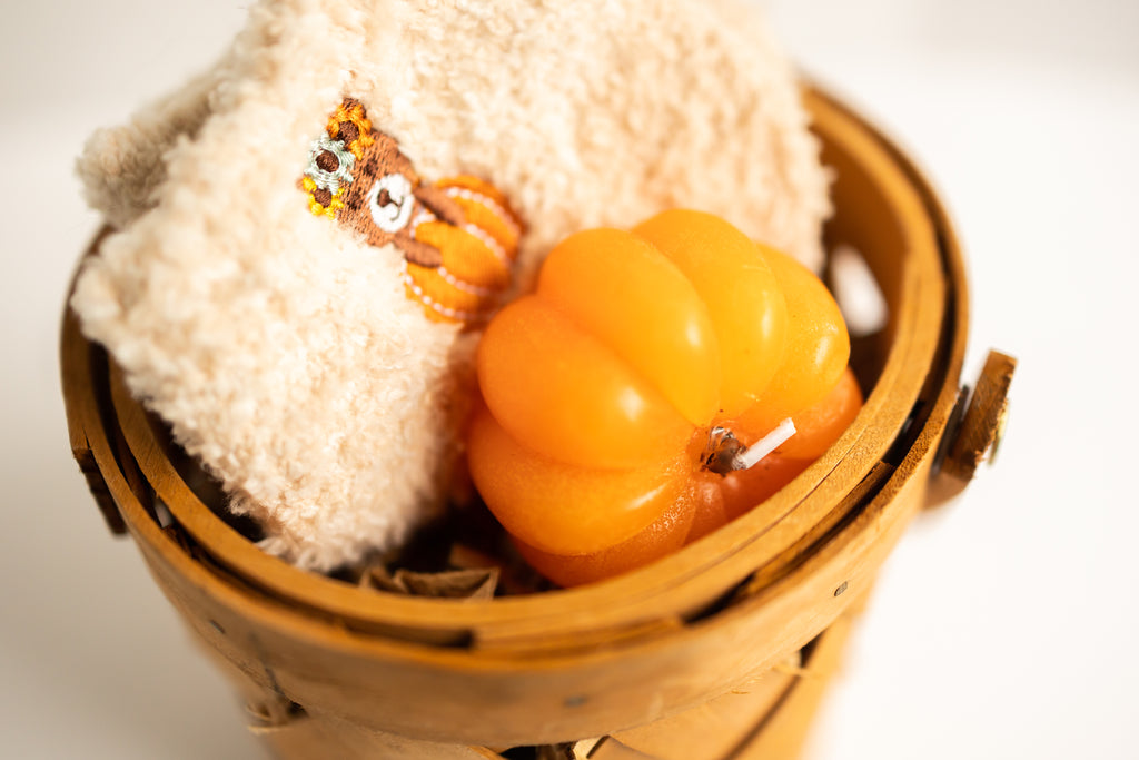 Pumpkin & Patch Gift Set